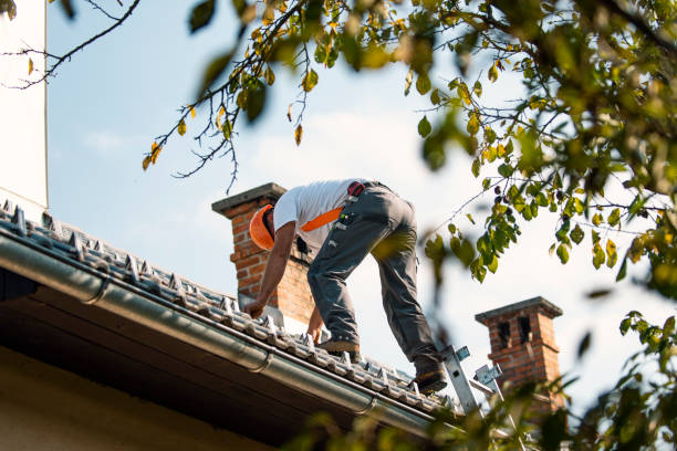 Roof Gutter Cleaning in Jessup, MD